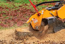 Best Lawn Pest Prevention  in Freeland, PA
